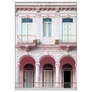 Hector Obraz Havana 50x70 cm růžový dom