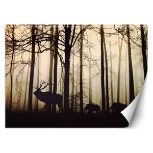 Hector Vliesová fototapeta Forest mistery, velikost 400x280