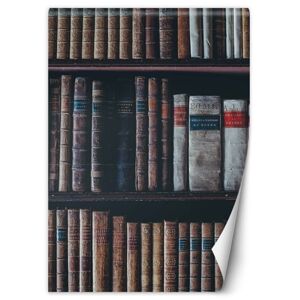 Hector Vliesová fototapeta Book lover, velikost 150x210