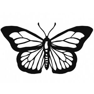 Hector Nástěnná dekorace Motýl I černá