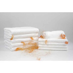 Faro Bavlněný ručník Cezar 50x100 cm bílý