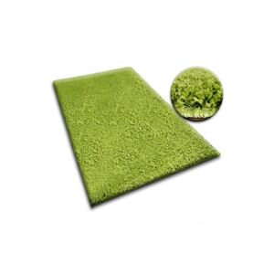 Dywany Lusczow Kusový koberec SHAGGY Izebelie 5cm zelený, velikost 100x250